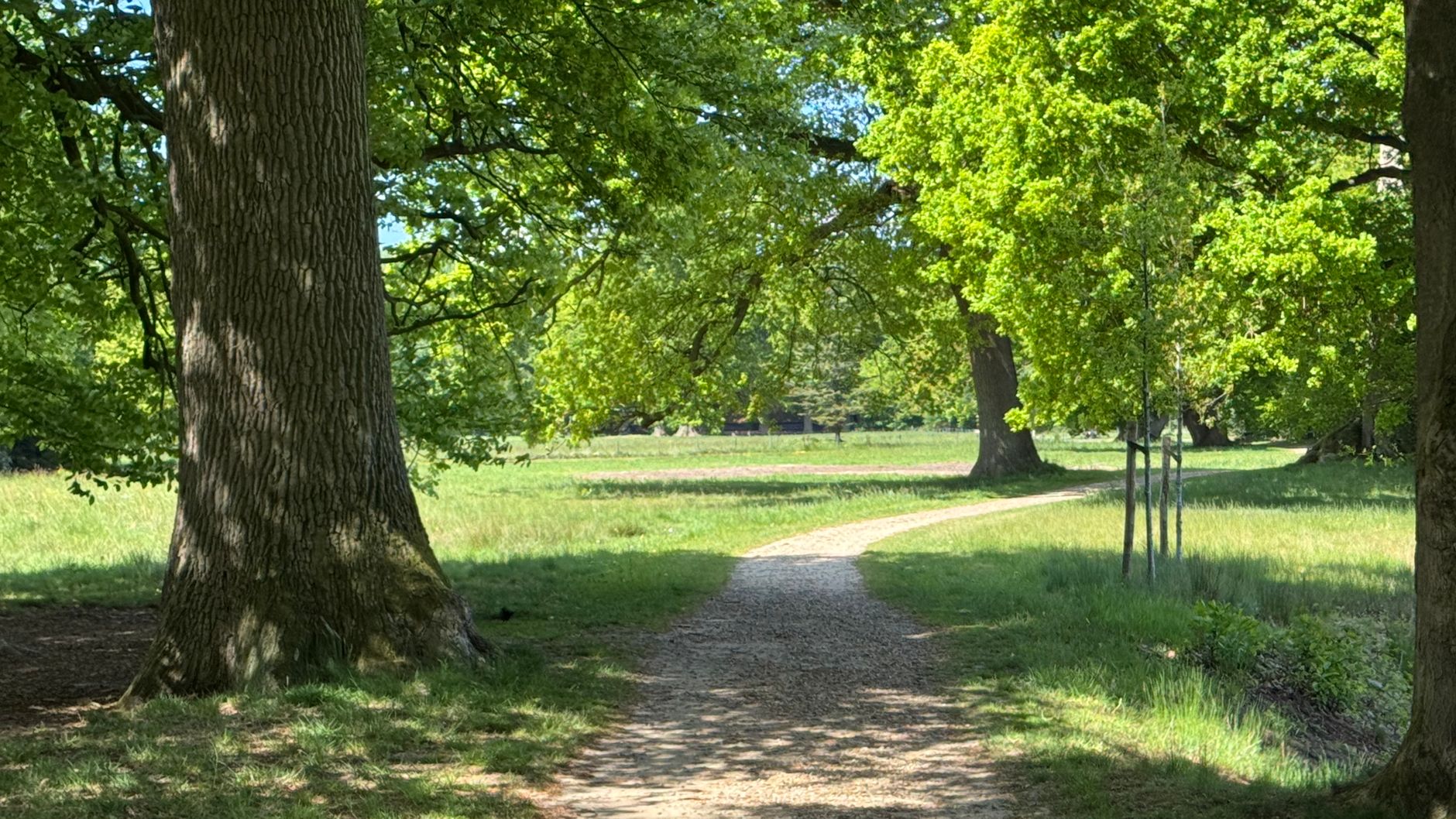 Lutte contre les nuisibles à Fontenay-sous-Bois